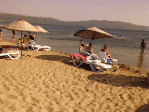 Cüzzam Haftası (25-31 Ocak) İle İlgili Yazı
